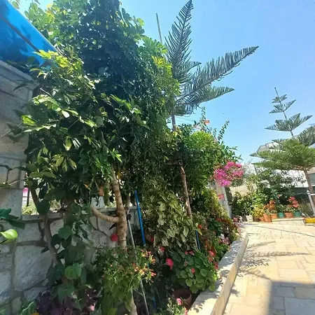 מלון דירות Ester 4*