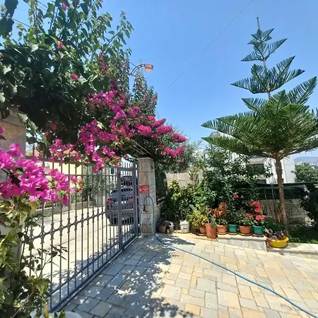 Ester 4* Ksamil