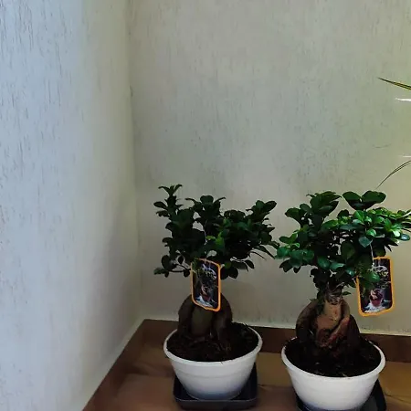 Ester Apartmanhotel Ksamil